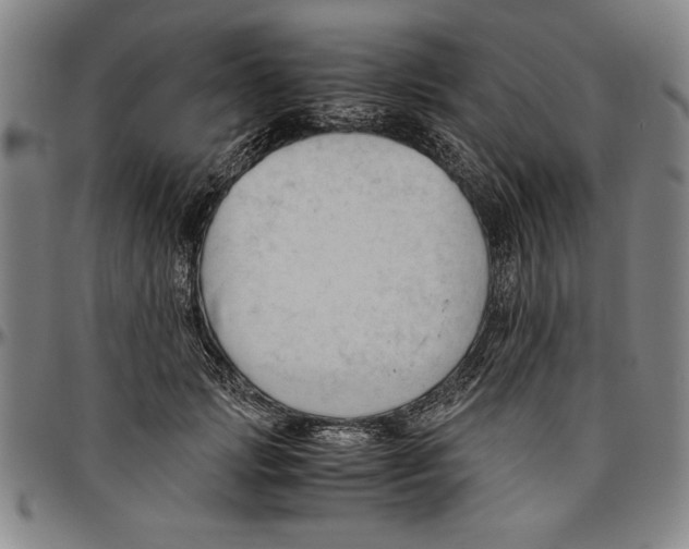 X0000096460749200802211126