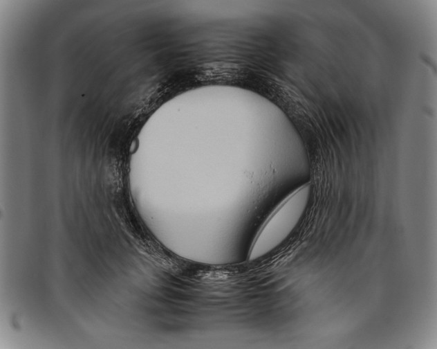 X0000096460751200802211126