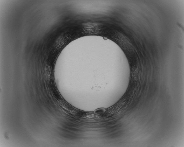 X0000096460752200802211126