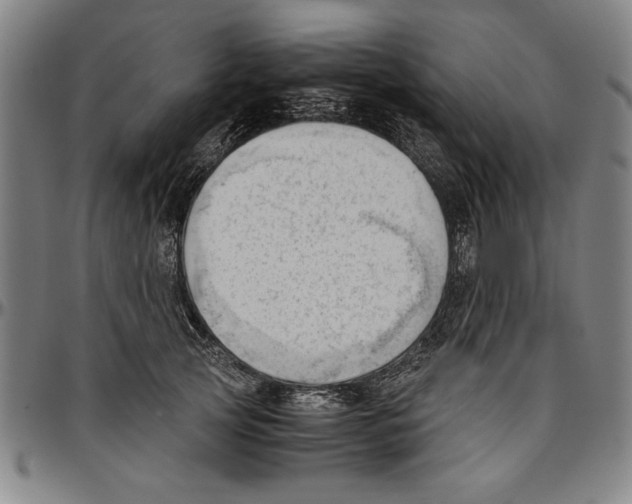 X0000096460753200802211126