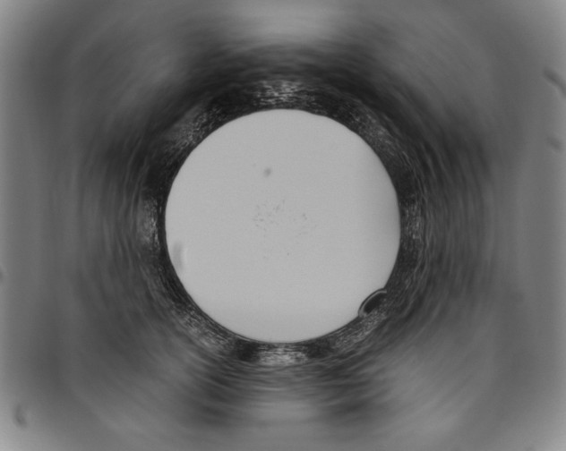X0000096460754200802211126