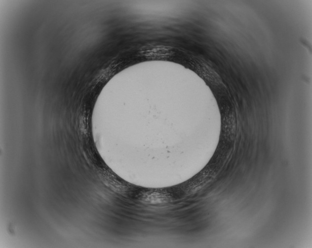 X0000096460755200802211126