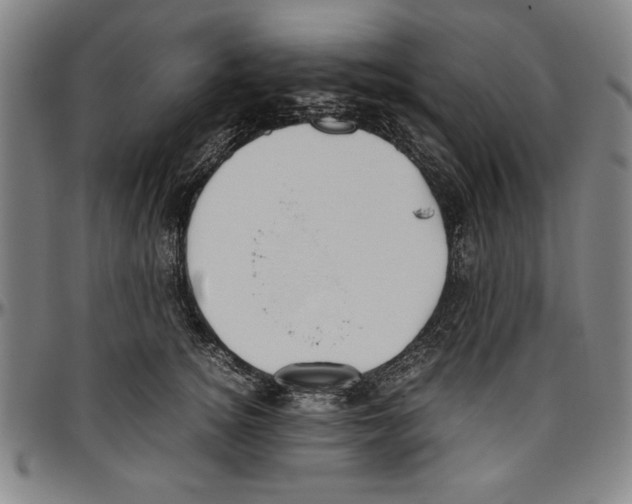 X0000096460756200802211126