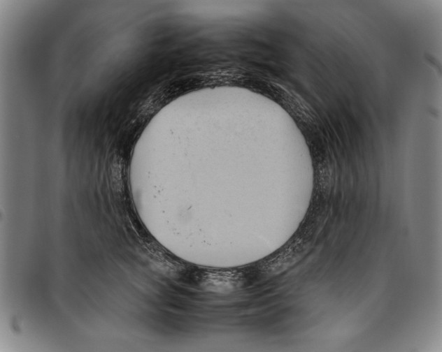 X0000096460757200802211126