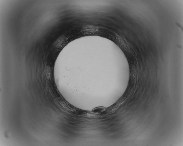 X0000096460758200802211126