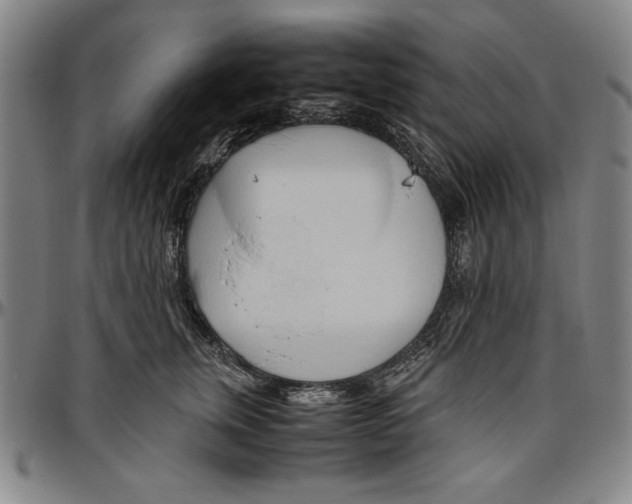 X0000096460759200802211126