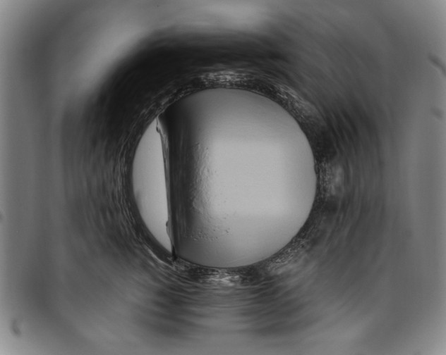 X0000096460760200802211126