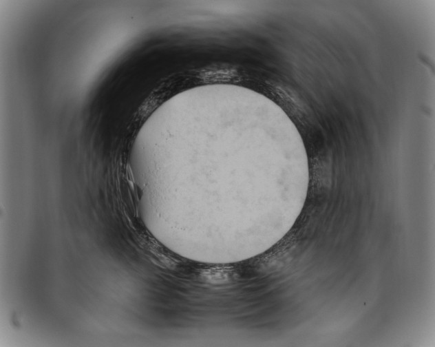 X0000096460761200802211126