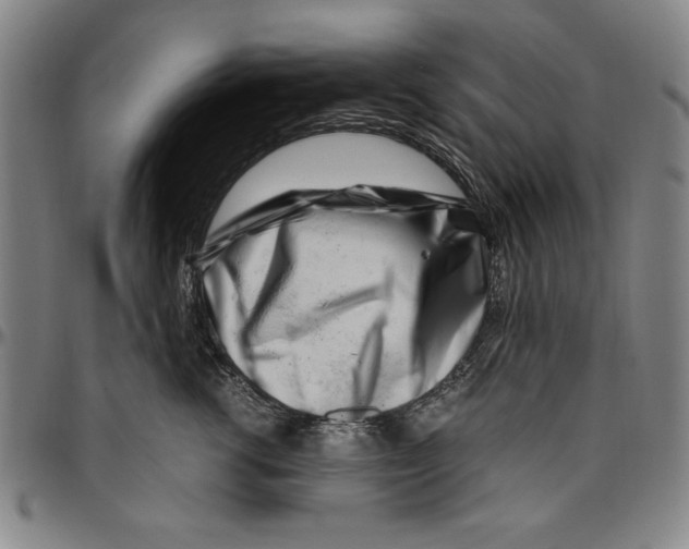 X0000096460762200802211126