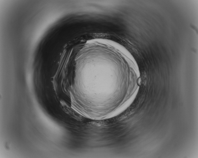 X0000096460763200802211126