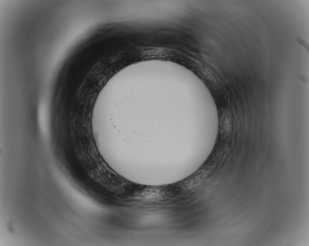X0000096460764200802211126
