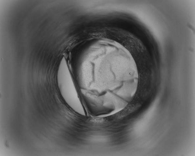 X0000096460767200802211126