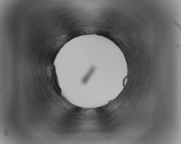 X0000096460768200802211126