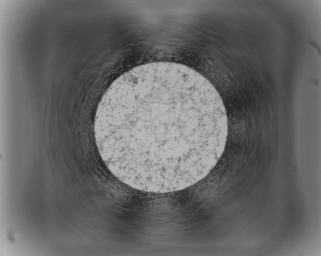 X0000096460769200802211125