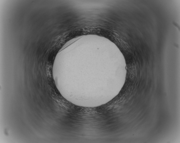 X0000096460770200802211125