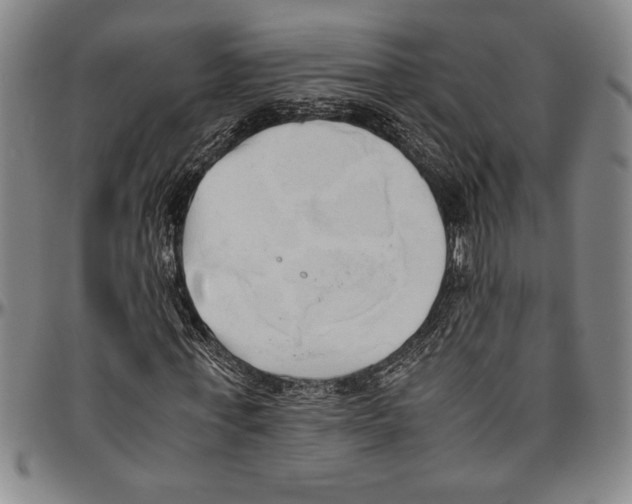 X0000096460771200802211125