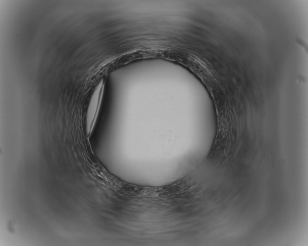 X0000096460773200802211125