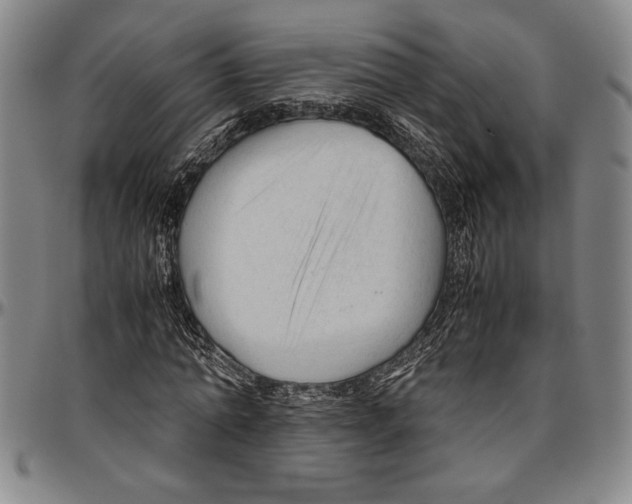 X0000096460774200802211125