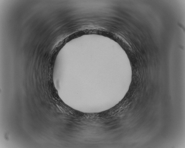 X0000096460775200802211125