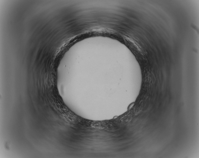 X0000096460776200802211125