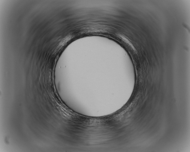 X0000096460777200802211125