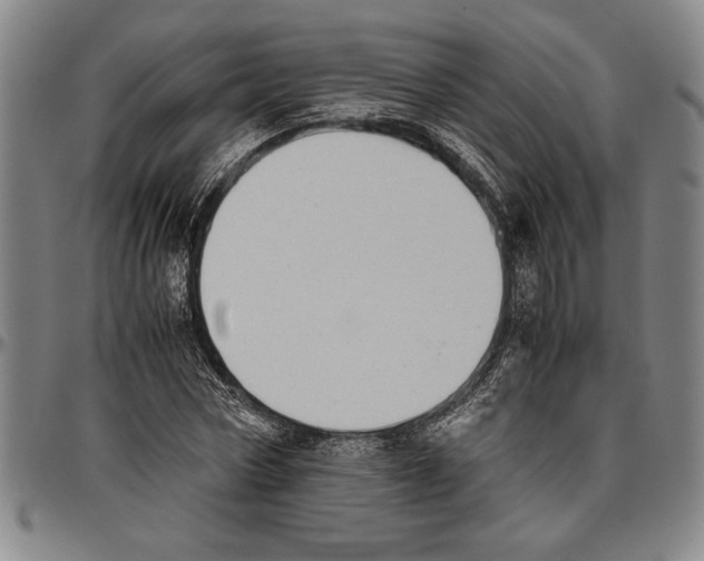 X0000096460778200802211125