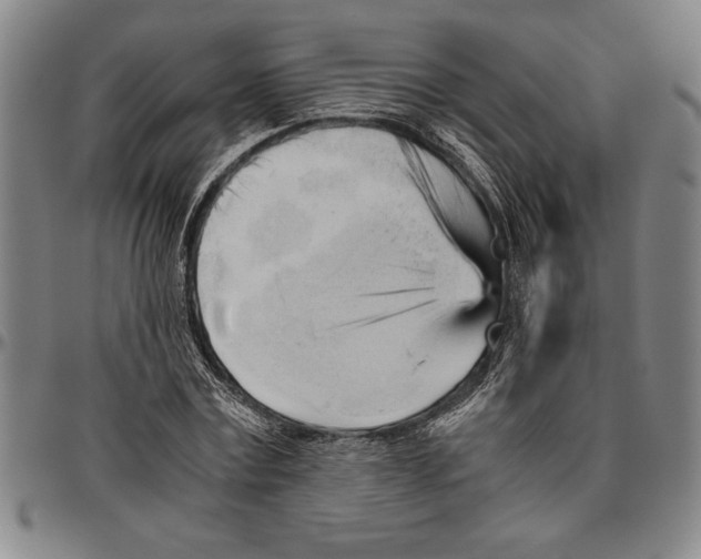 X0000096460779200802211125