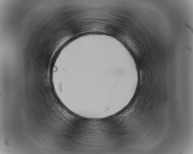 X0000096460780200802211125