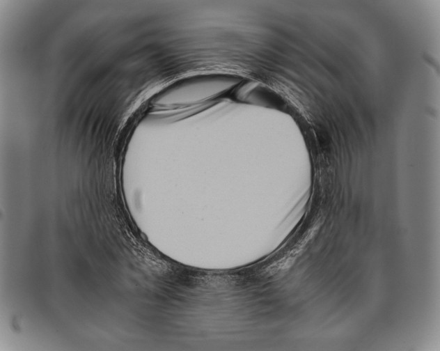 X0000096460781200802211125