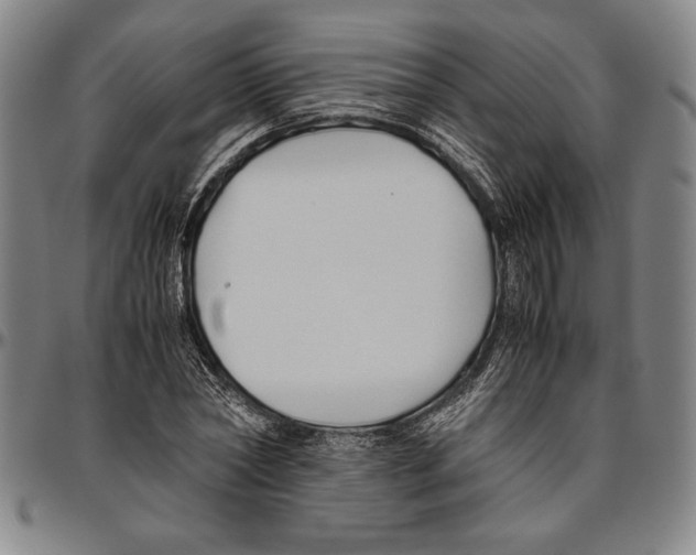 X0000096460782200802211125