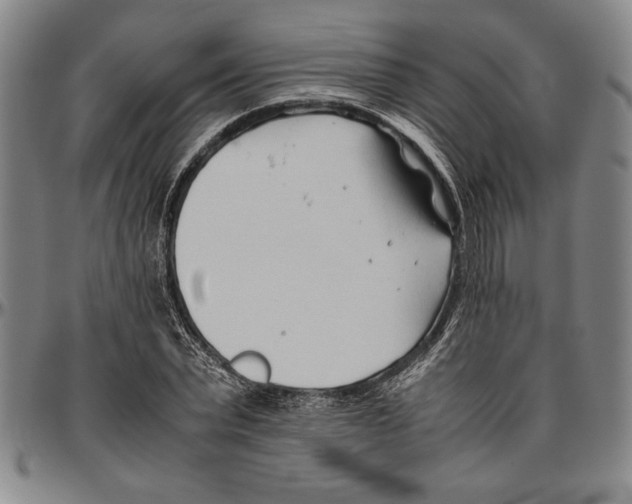 X0000096460783200802211125