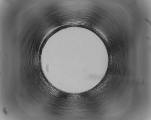 X0000096460784200802211125