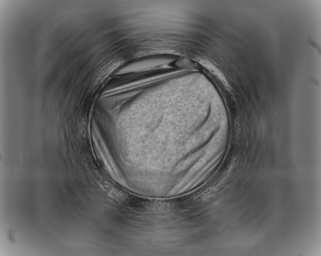 X0000096460785200802211125