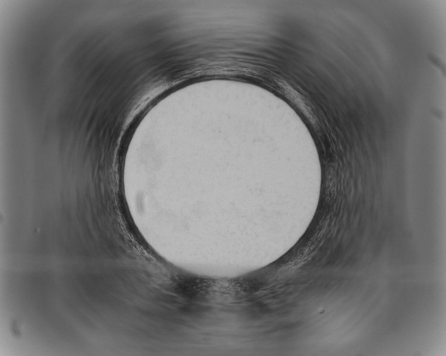 X0000096460787200802211125