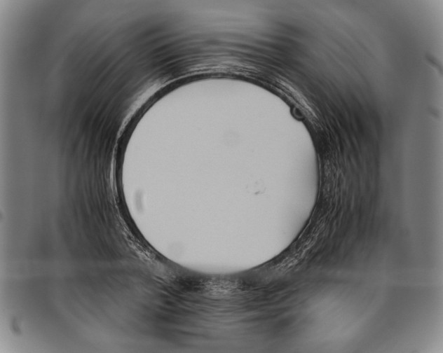 X0000096460788200802211125