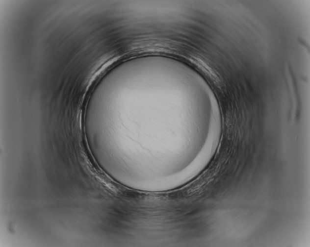 X0000096460790200802211125