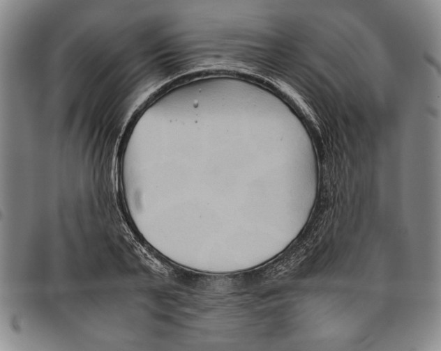 X0000096460791200802211125