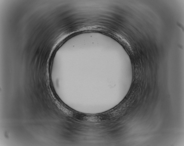 X0000096460792200802211125