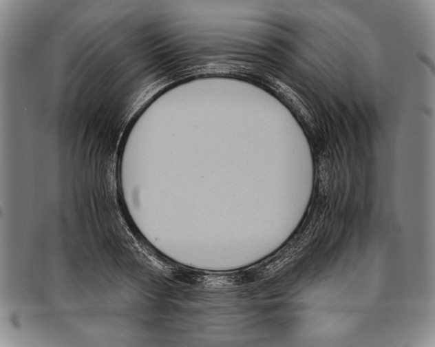 X0000096460794200802211125
