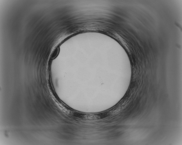 X0000096460795200802211124