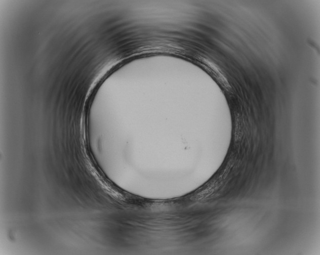 X0000096460796200802211124