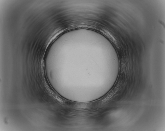 X0000096460798200802211124