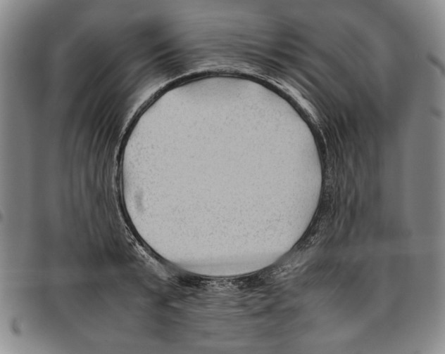 X0000096460799200802211124