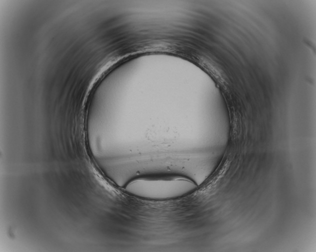 X0000096460800200802211124
