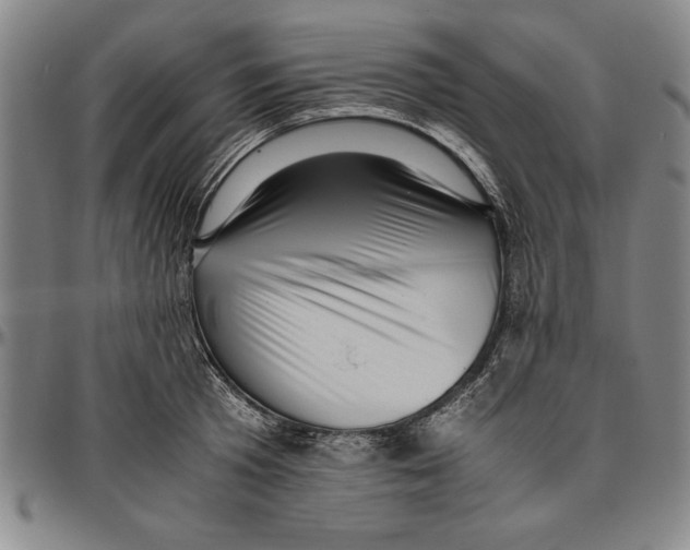 X0000096460801200802211124