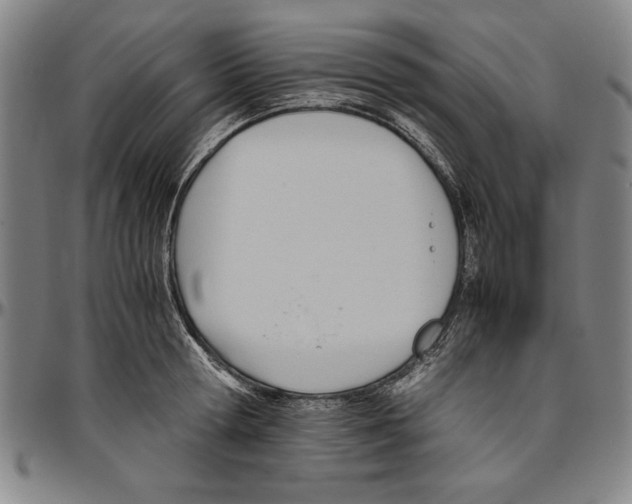 X0000096460802200802211124