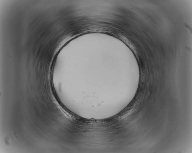 X0000096460803200802211124