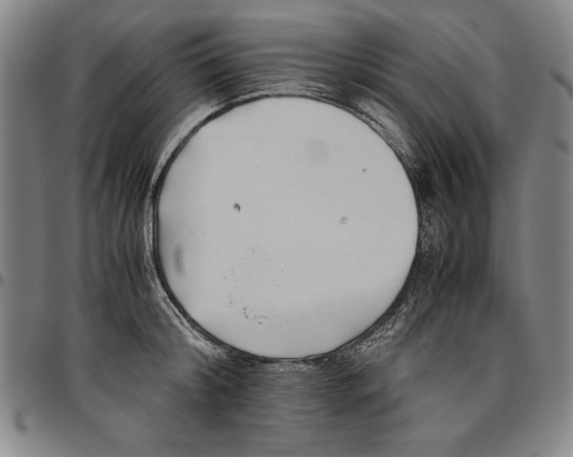 X0000096460804200802211124
