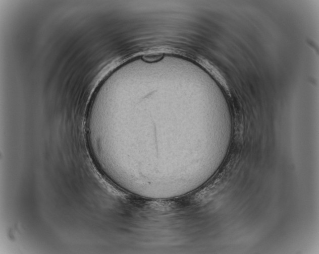 X0000096460805200802211124