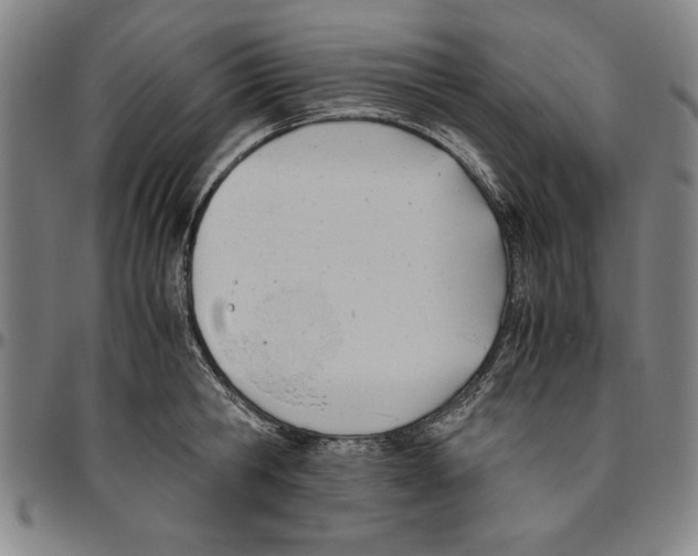X0000096460806200802211124